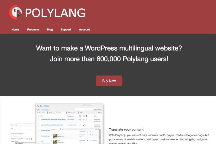 Polylang WordPress Plugin