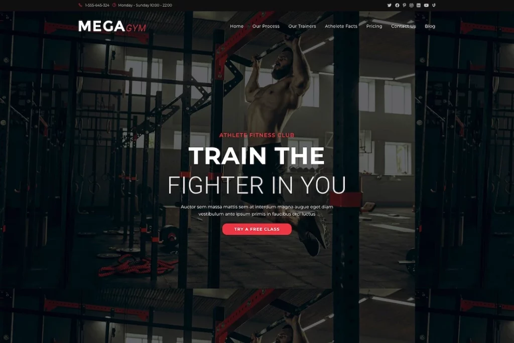 OceanWP free Gym WordPress theme