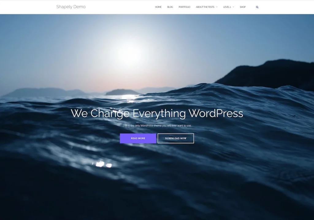 Shapely WordPress theme