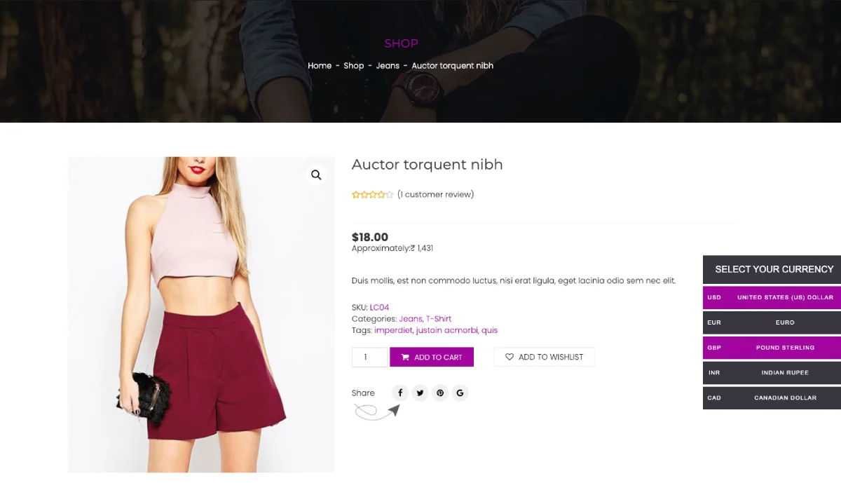 CURCY - WooCommerce Multi Currency Plugin